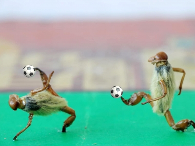 á暤籭 ΑB(ti)˷Q(chng)