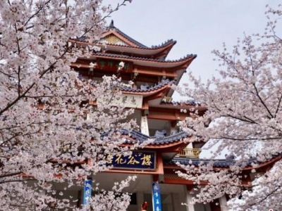 o(w)ax^侙ѻM(jn)^(gun)p ˸֮s