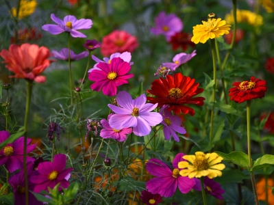 A@վոʢ_(ki) 涷Gɫ